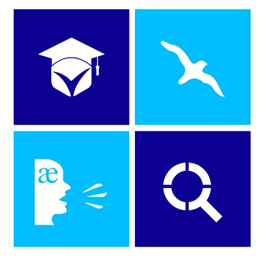 Website CMS Logo